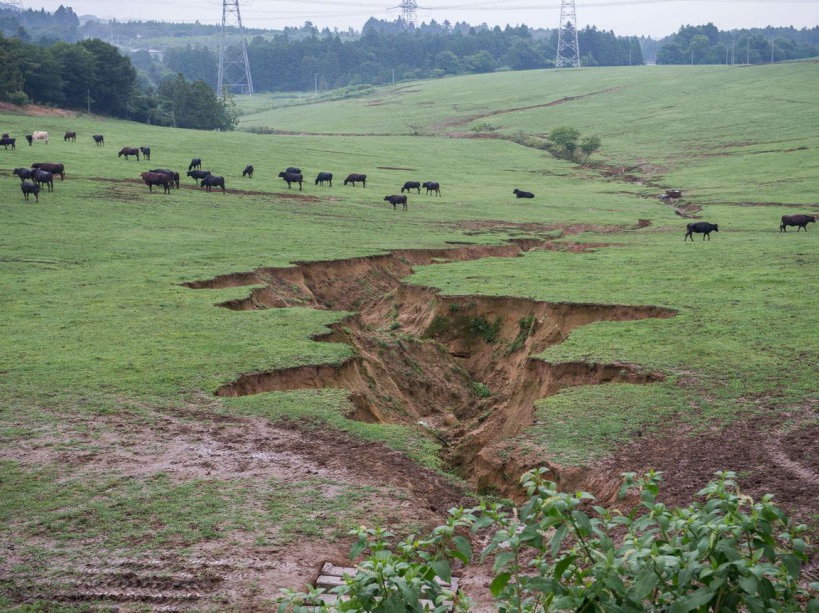 EXCLUSIVE. SPECIAL FEES APPLY . MANDATORY CREDIT: Arkadiusz Podniesinski/REX Shutterstock Mandatory Credit: Photo by Arkadiusz Podniesinski/REX Shutterstock (5224634u) There are currently approximately 360 cattle owned by Masami Yoshizawa who returned to his farm after the disaster. The cracks in the earth were caused by the earthquake. Fukushima, Japan - Sep 2015 FULL COPY: http://www.rexfeatures.com/nanolink/r7ku MINIMUM USE FEE A photographer has taken stunning and revealing pictures of the exclusion zone from the 2011 Fukushima Nuclear Disaster. Within a 20km radius the radioactive exclusion zone demonstrates the dangerous nature of nuclear energy. A network of abandoned towns and villages that once housed hundreds of thousands of people, the exclusion zone of the largest nuclear accident since Chernobyl is eerie and frightening. /EXCL_Rex_Fukushima_24/EXCLUSIVE. SPECIAL FEES APPLY . MANDATORY CREDIT: Arkadiusz Podniesinski/REX Shutterstock/1510071816