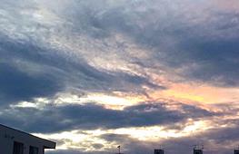 51215e_4ea5724237db41889a60931cd713ad18.jpg_srb_p_263_171_75_22_0.50_1.20_0